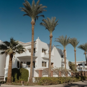 Mastering the Art of Luxury Real Estate Marketing on Social Media
